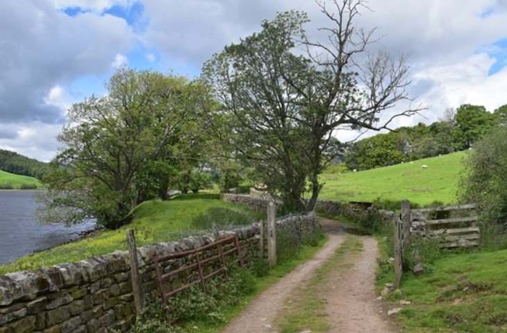 Nidd Valley: Location, History, Weather, Things to Do & Travel Guide Nidd Valley Weather