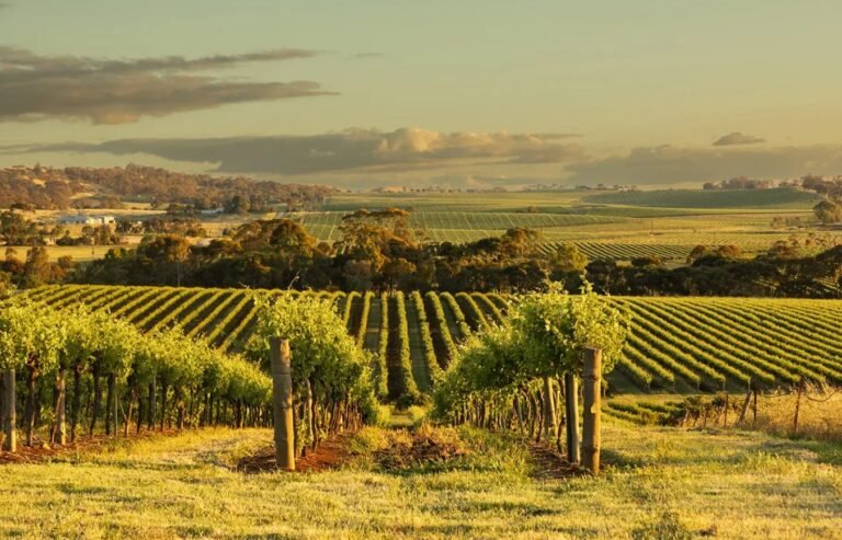 Clare Valley: Location, History, Weather, Things to Do & Travel Guide Clare Valley Weather