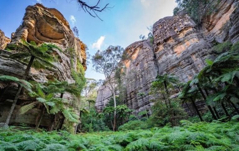 Capertee Valley: Location, History, Weather, Things to Do & Travel Guide Capertee Valley Weather
