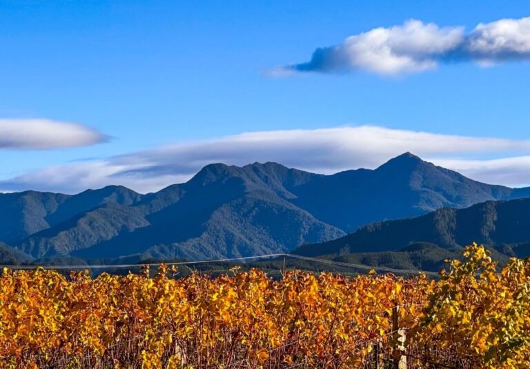 Wairau Valley: Location, History, Weather, Things to Do & Travel Guide Wairau Valley Weather