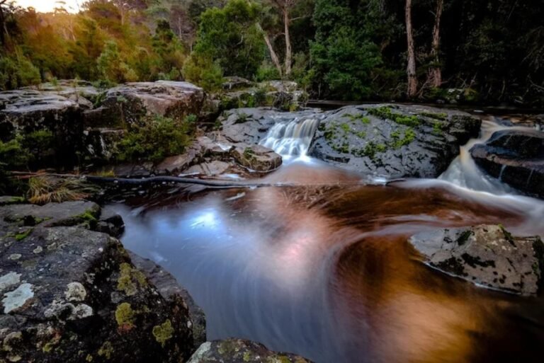Tamar Valley: Location, History, Weather, Things to Do & Travel Guide Tamar Valley Weather
