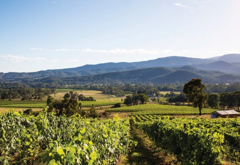 King Valley: Location, History, Weather, Things to Do & Travel Guide King Valley Weather