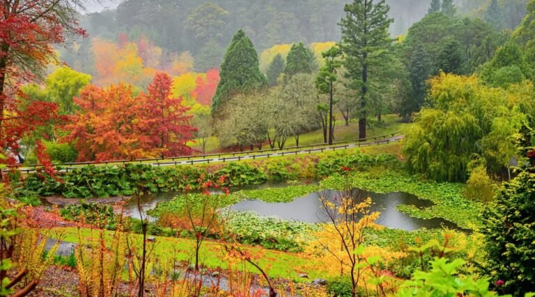 Adelaide Hills Valleys: Location, History, Weather, Things to Do & Travel Guide Adelaide Hills Valleys Weather