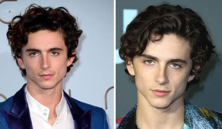 Timothée Chalamet Net Worth